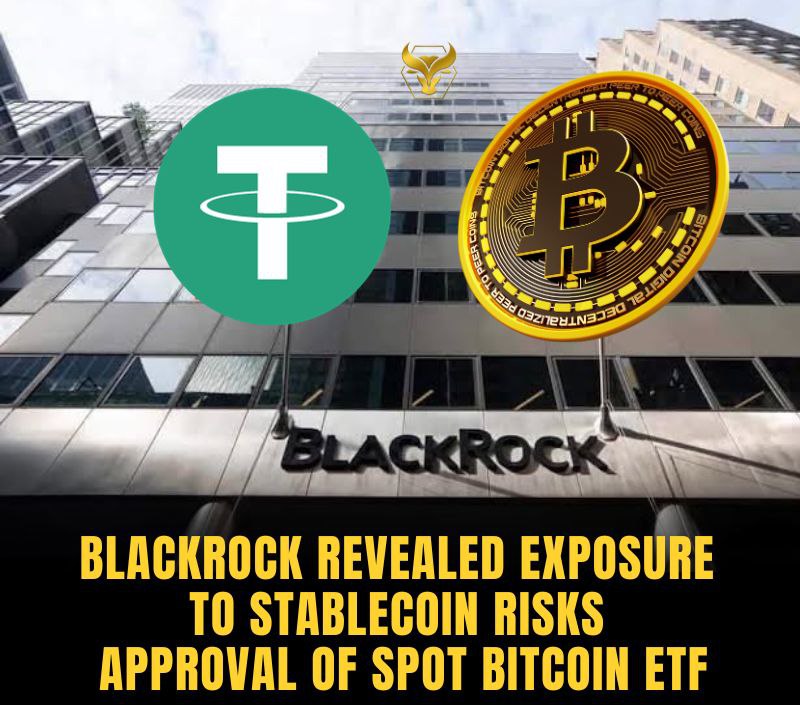 BlackRock Just Revealed That Exposure To Stablecoin Risks Ap In Solana ...